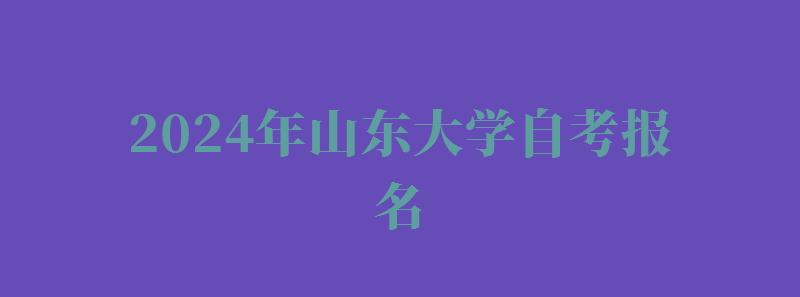 2024年山东大学自考报名 2024年山东大学自考报名