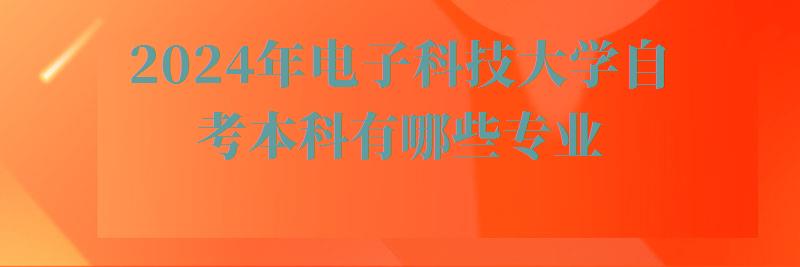 2024年电子科技大学自考本科有哪些专业 2024年电子科技大学自考本科有哪些专业