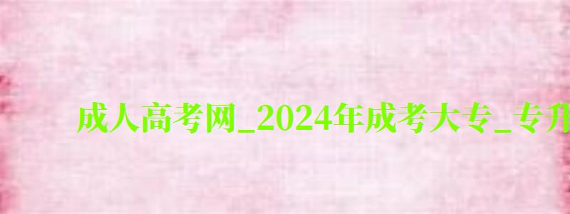 成人高考网_2024年成考大专_专升本报名招生平台