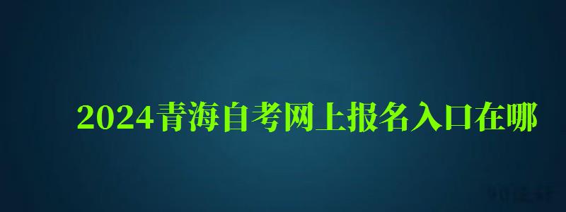 2024青海自考网上报名入口在哪