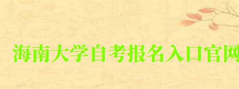 海南大学自考报名入口官网