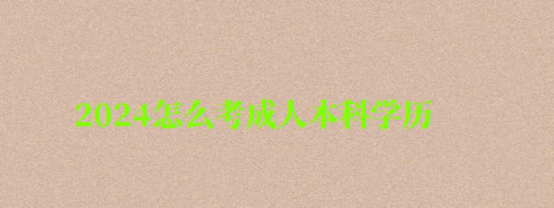 2024怎么考成人本科学历
