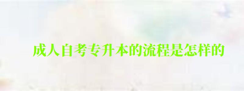 成人自考专升本的流程是怎样的 成人自考专升本的流程是怎样的