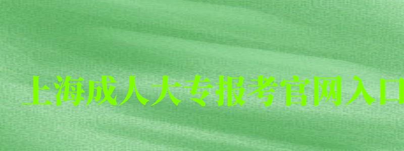 上海成人大专报考官网入口