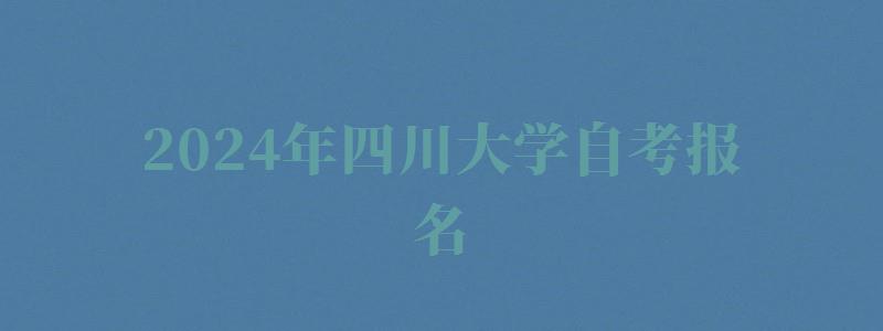 2024年四川大学自考报名