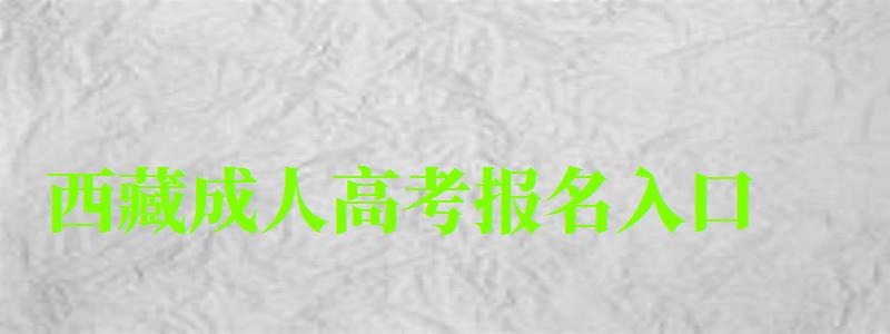 西藏成人高考报名入口