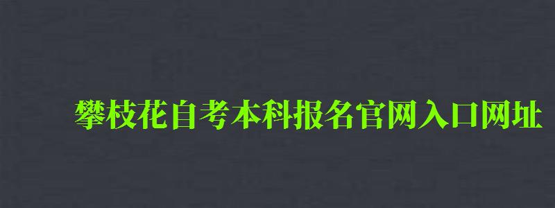 攀枝花自考本科报名官网入口网址 攀枝花自考本科报名官网入口网址 (图1)