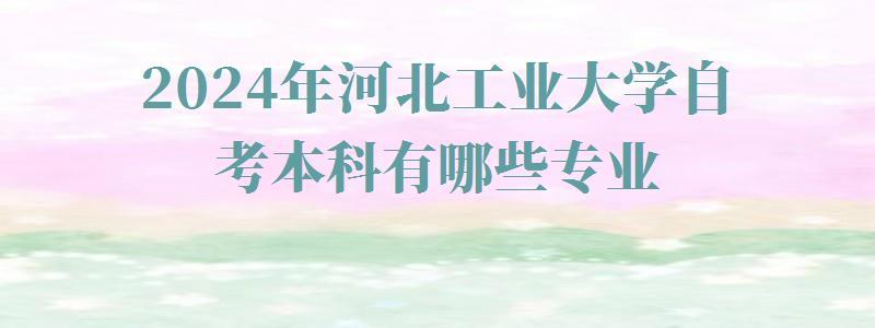 2024年河北工业大学自考本科有哪些专业 2024年河北工业大学自考本科有哪些专业