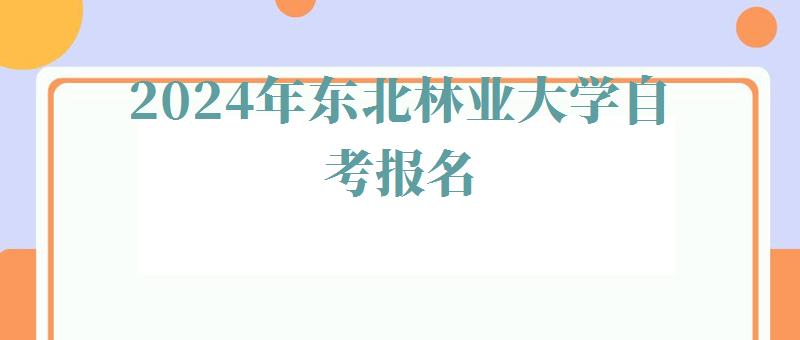 2024年东北林业大学自考报名 2024年东北林业大学自考报名