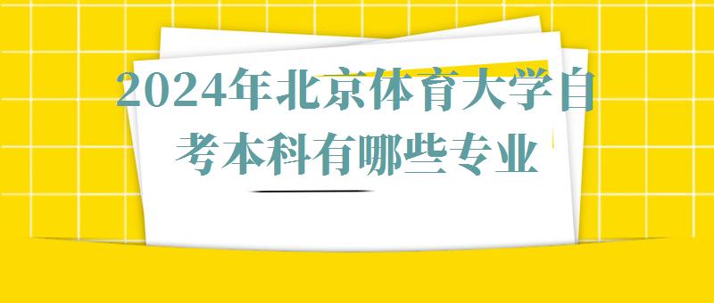 2024年北京体育大学自考本科有哪些专业