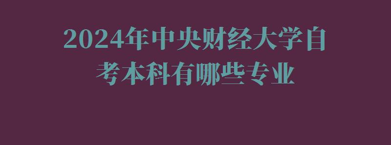 2024年中央财经大学自考本科有哪些专业