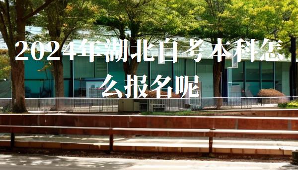 2024年湖北自考本科怎么报名呢,2024年湖北自考本科报名时间
