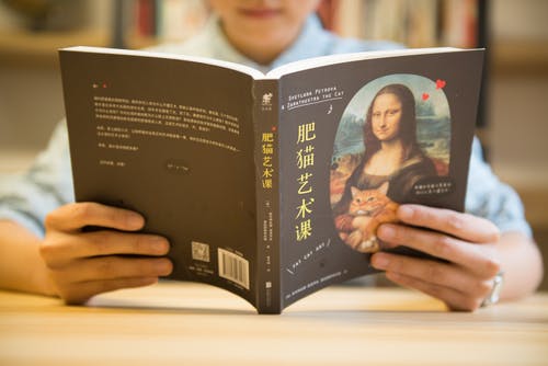 自学考试与其他高等教育有什么区别？(图1)