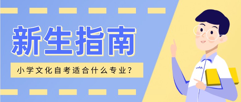 小学文化自考适合什么专业？