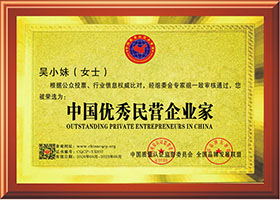 中国优秀民营企业家